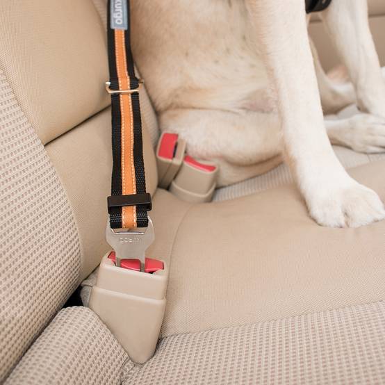 Kurgo - Attache securite "direct seatbelt" bleu - Image 2
