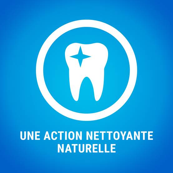 Purina One - Biscuits Bâtonnets à Mâcher chien Extra Mini 207 g - DENTALIFE - Image 10