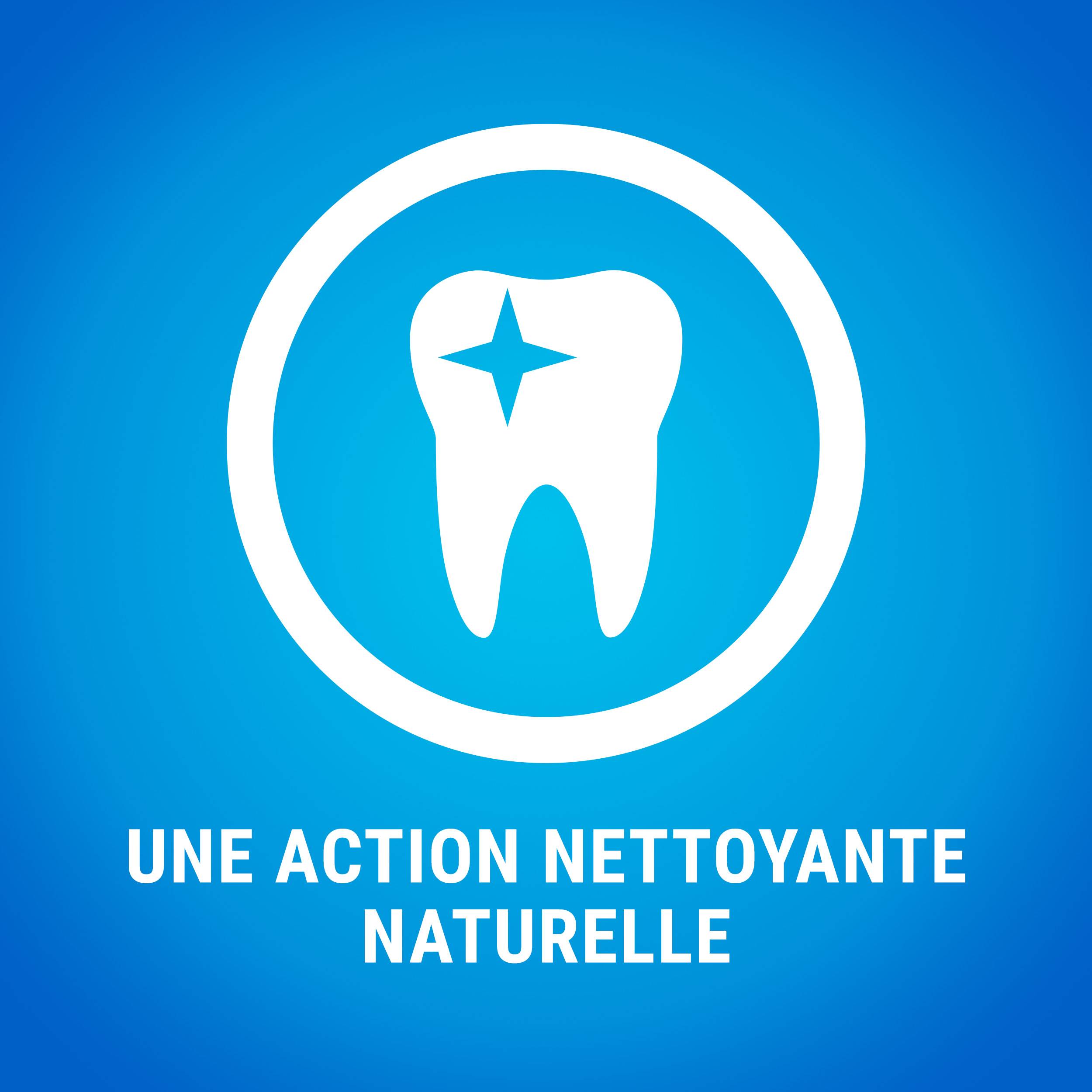 Purina One - Biscuits Bâtonnets à Mâcher chien Extra Mini 207 g - DENTALIFE - Imagen 10