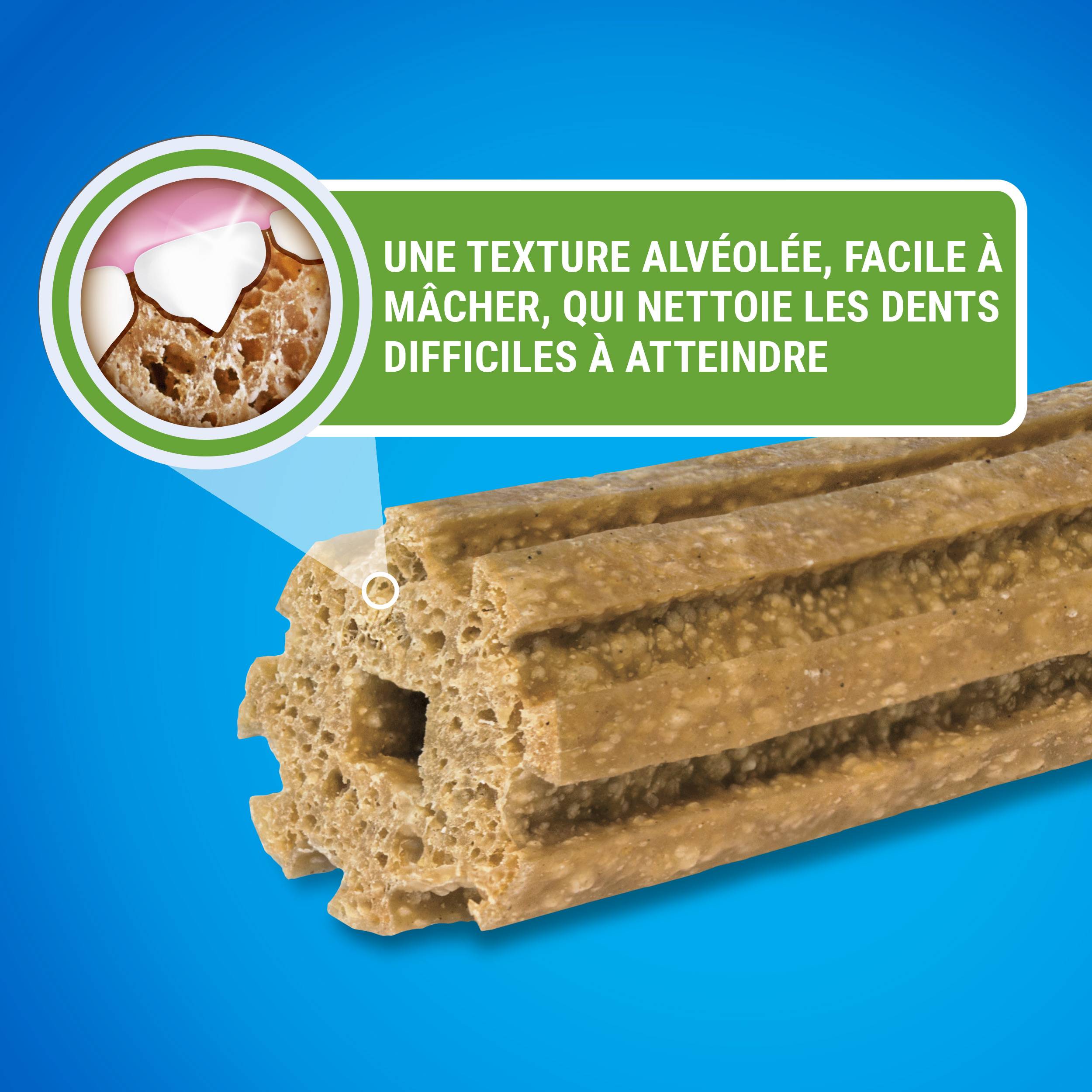 Purina One - Biscuits Bâtonnets à Mâcher chien Extra Mini 207 g - DENTALIFE - Imagen 9