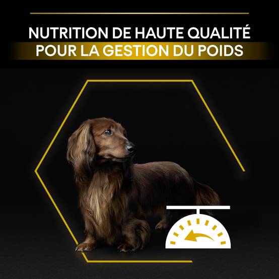 Purina Pro Plan - Croquettes chien Small et Mini Light Sterilised 3 kg - PRO PLAN - Image 9