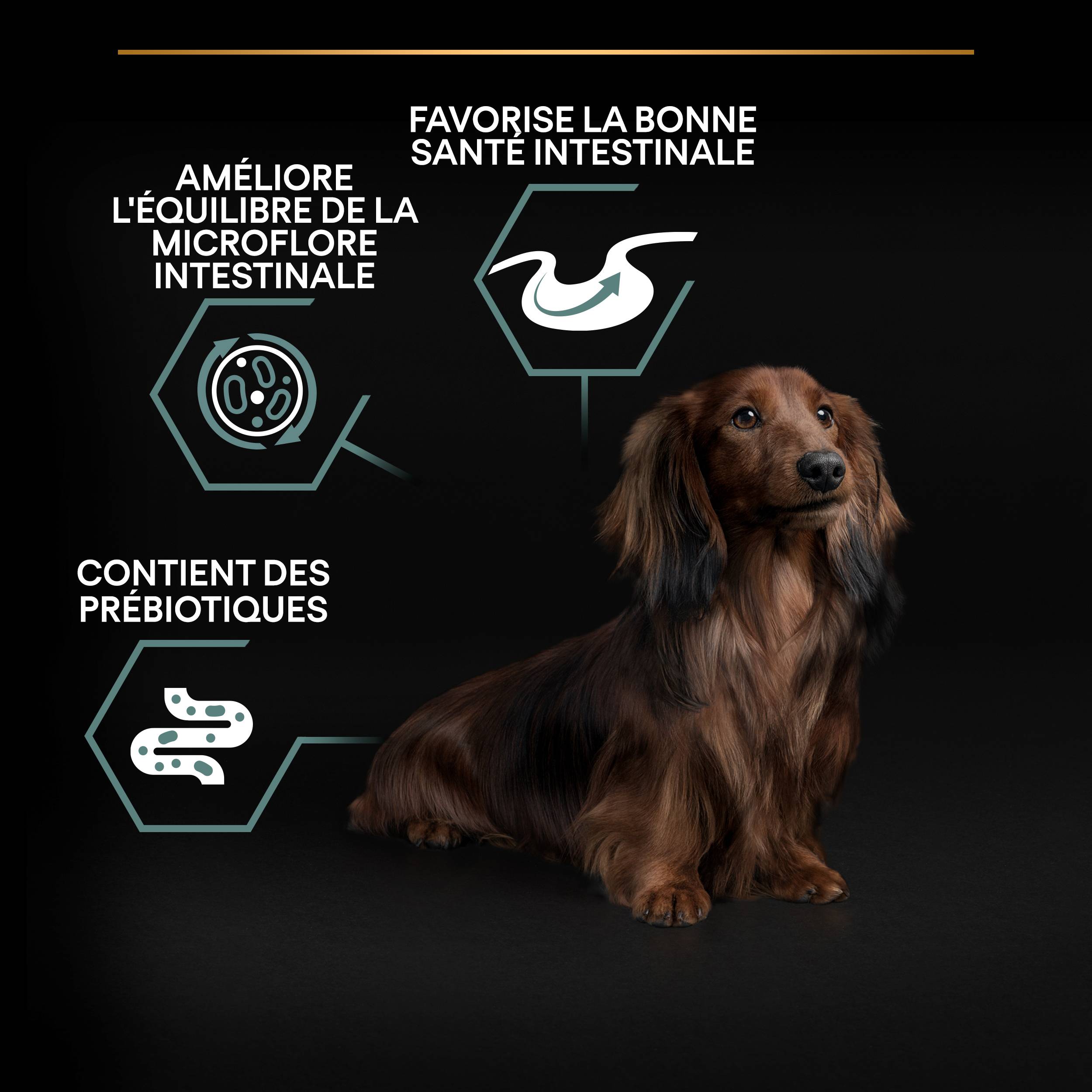 Purina Pro Plan - Croquettes chien Adulte Petit Digestion sensible 3 kg  - PRO PLAN - Image 6