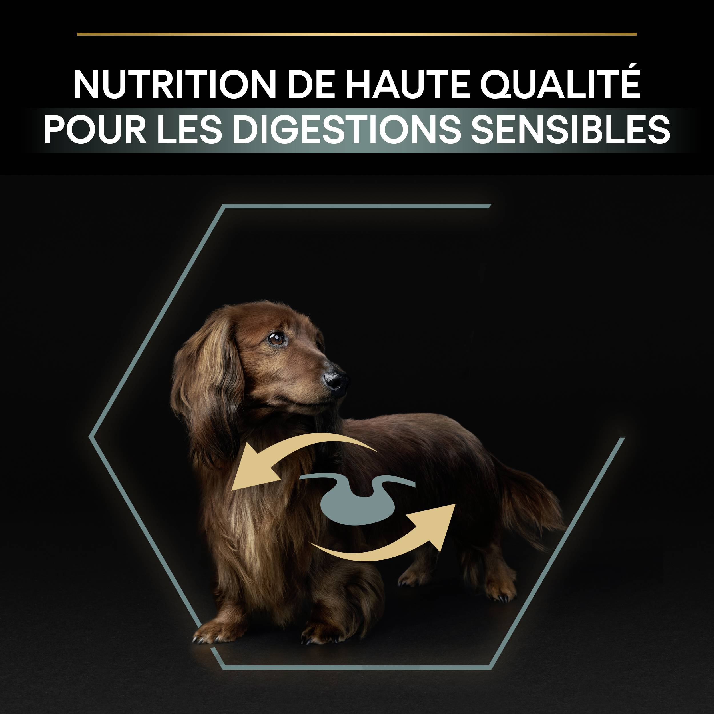 Purina Pro Plan - Croquettes chien Adulte Petit Digestion sensible 3 kg  - PRO PLAN - Image 3