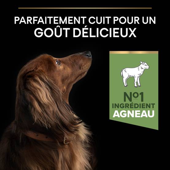 Purina Pro Plan - Croquettes chien Adulte Petit Digestion sensible 3 kg - PRO PLAN - Image 11