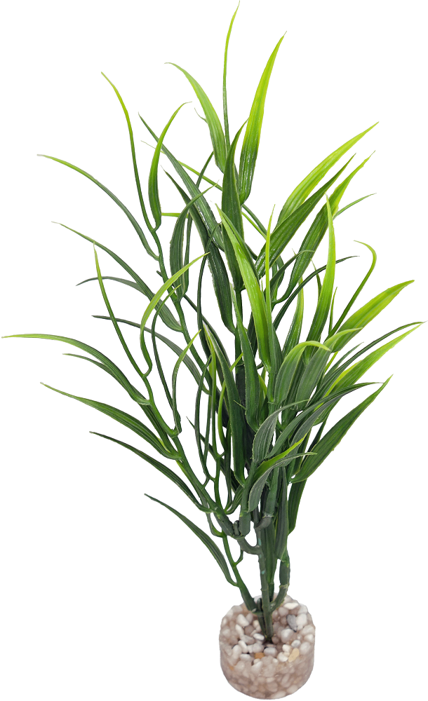Labéo - Plante Artificielle Aquarium Bambou - LABEO - Image 2