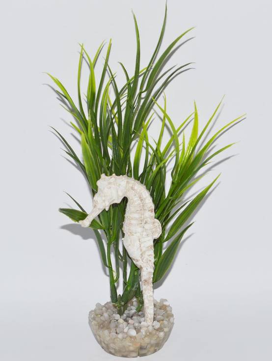 Labéo - Labéo - Décor hippocampe vert - Ø.9 x H.17 cm - Image 1