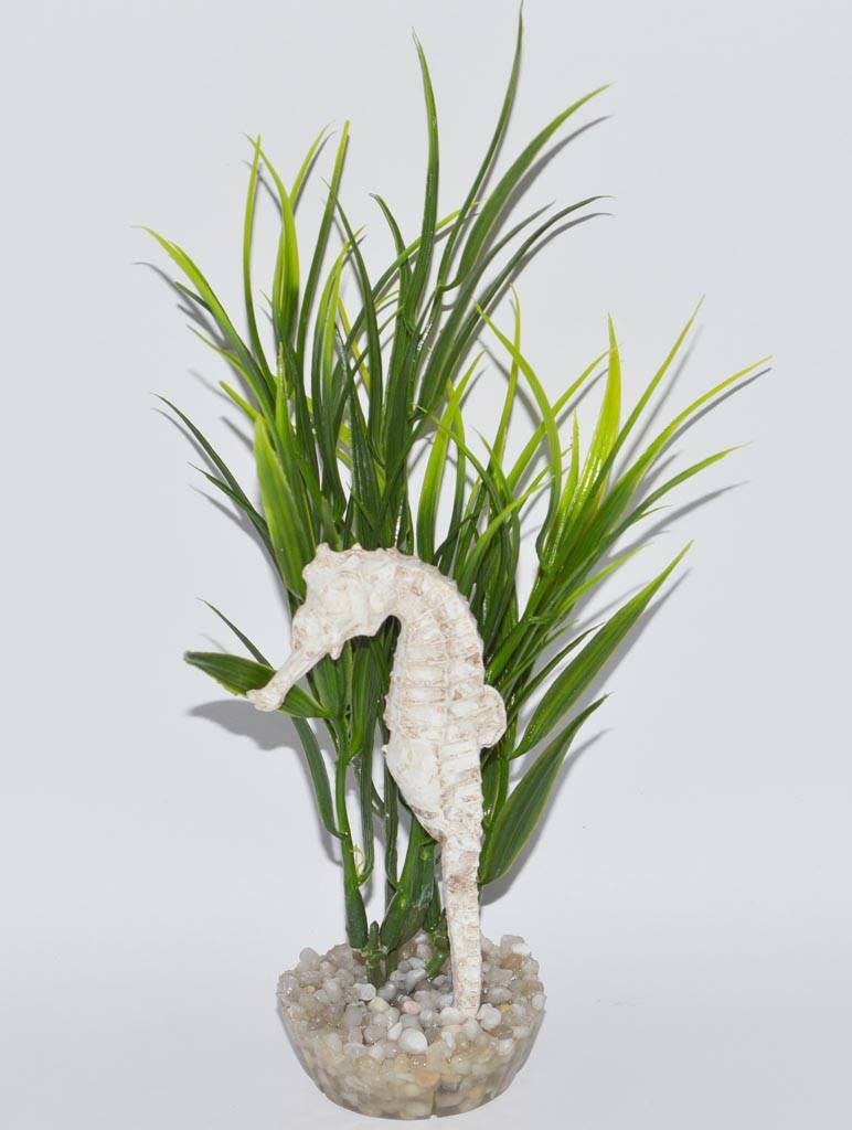Labéo - Labéo - Décor hippocampe vert - Ø.9 x H.17 cm - Image 1