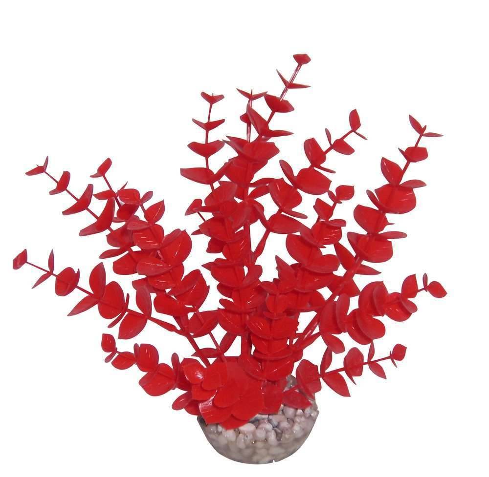 Labéo - Plante Artificielle Aquarium Eucalyptus – LABEO - Imagen 4