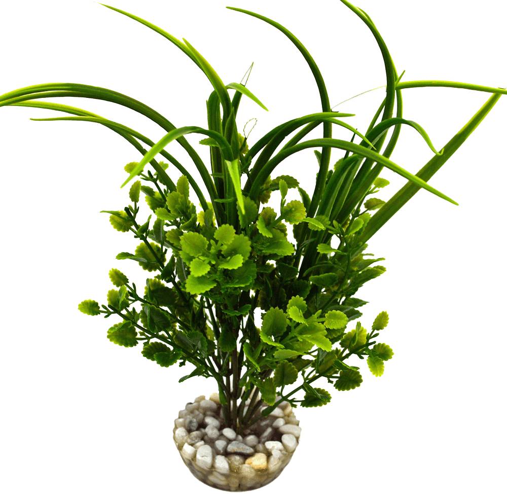 Labéo - Herbe Artificielle Aquarium - LABEO - Image 2