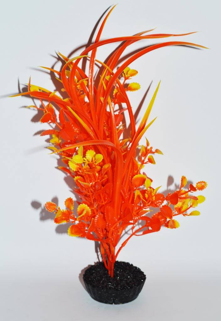 Labéo - Herbe Artificielle Aquarium - LABEO - Image 3
