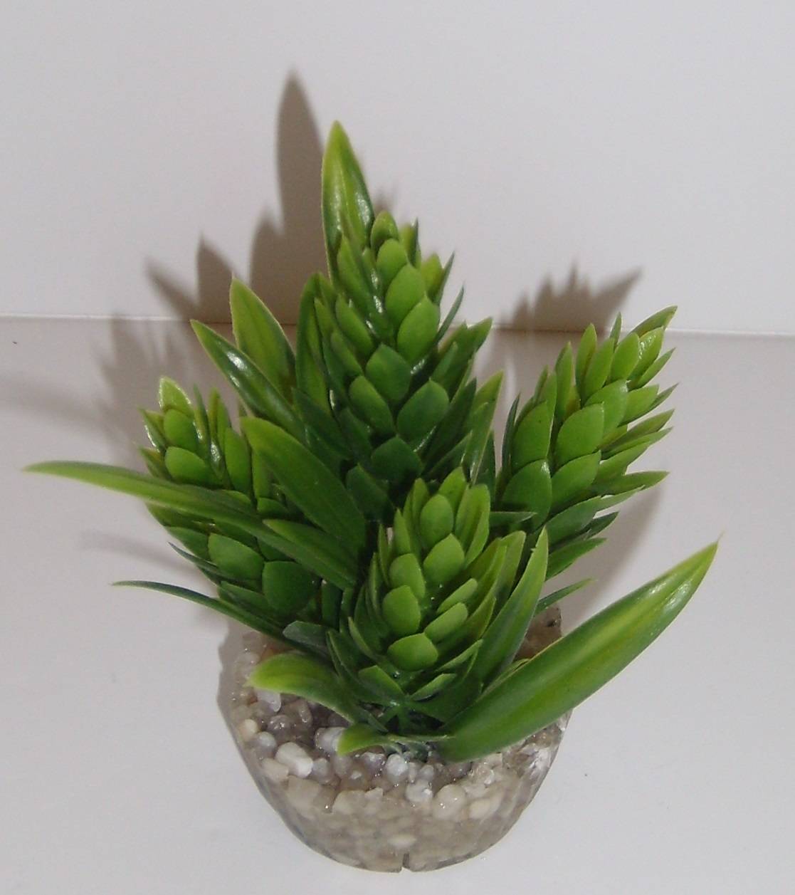 Labéo - Plante Décorative Aquarium - LABEO - Image 2