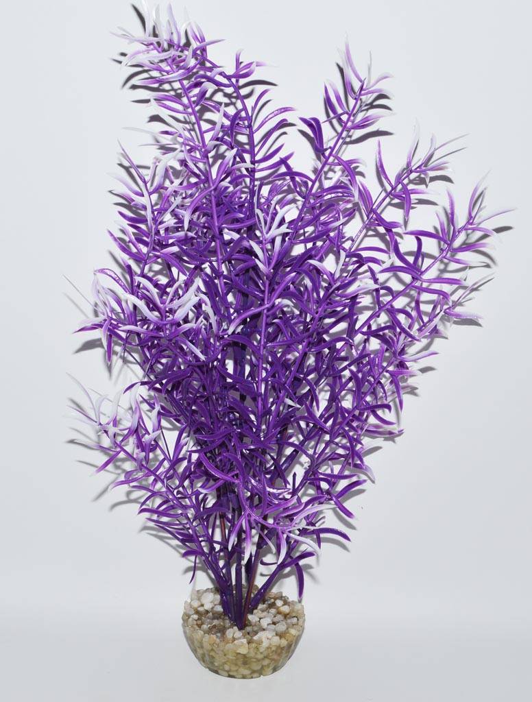 Labéo - Labéo - Décor Sprengéri artificiel - Ø.15 x H.24 cm - Imagen 6