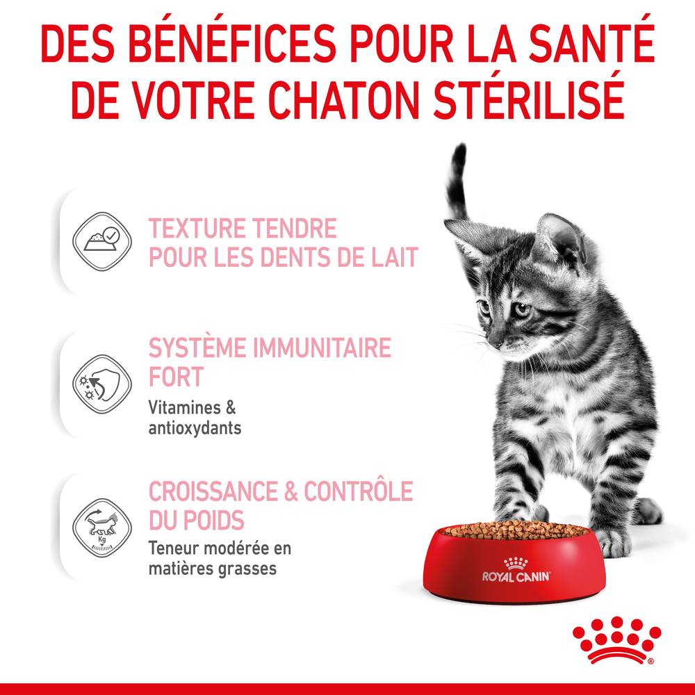 Royal Canin - Aliment Chaton Stérilisé Sauce - ROYAL CANIN - Image 5