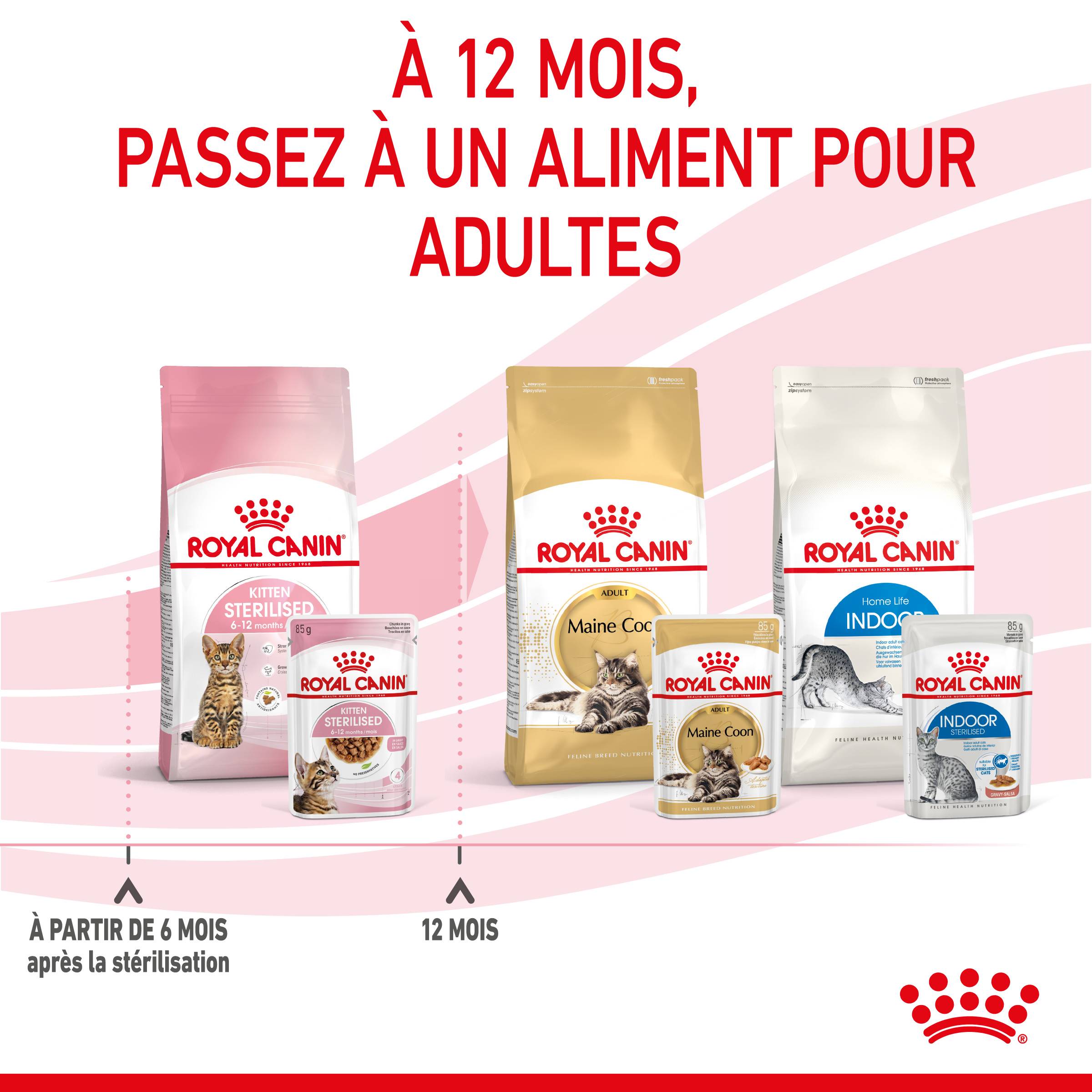 Royal Canin - Aliment Chaton Stérilisé Sauce - ROYAL CANIN - Image 9