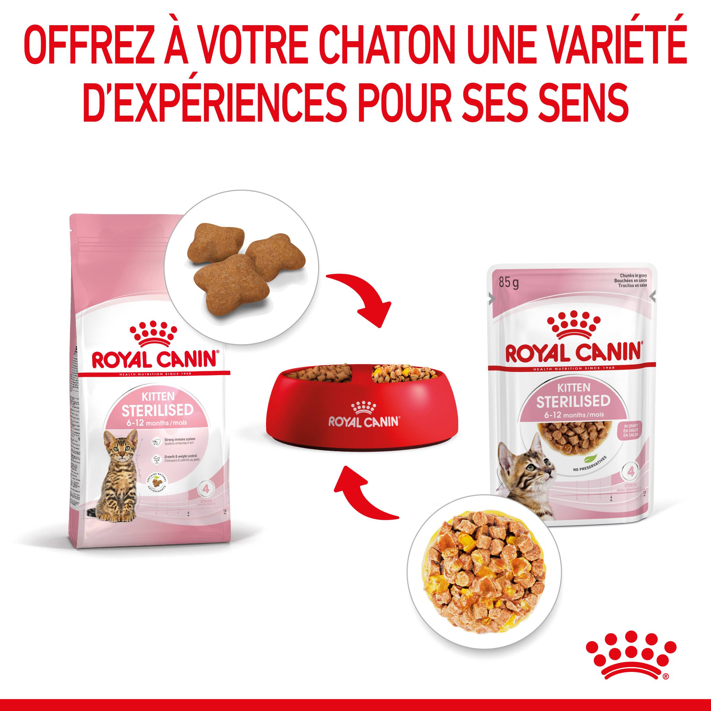 Royal Canin - Gelée Royal Canin Chaton Sterilised 12 x 85 g - Image 11