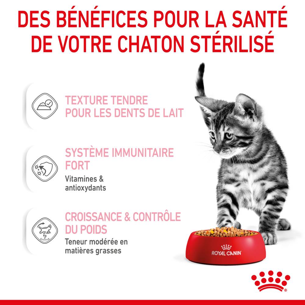 Royal Canin - Gelée Royal Canin Chaton Sterilised 12 x 85 g - Image 14