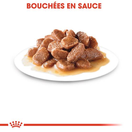 Royal Canin - Aliment complet chat stérilisé – ROYAL CANIN - Image 5