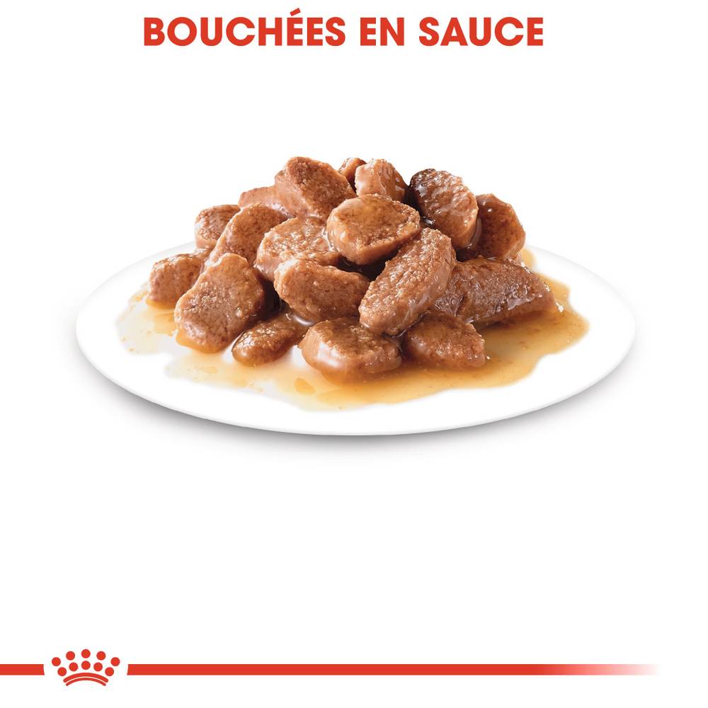 Royal Canin - Aliment complet chat stérilisé – ROYAL CANIN - Image 5