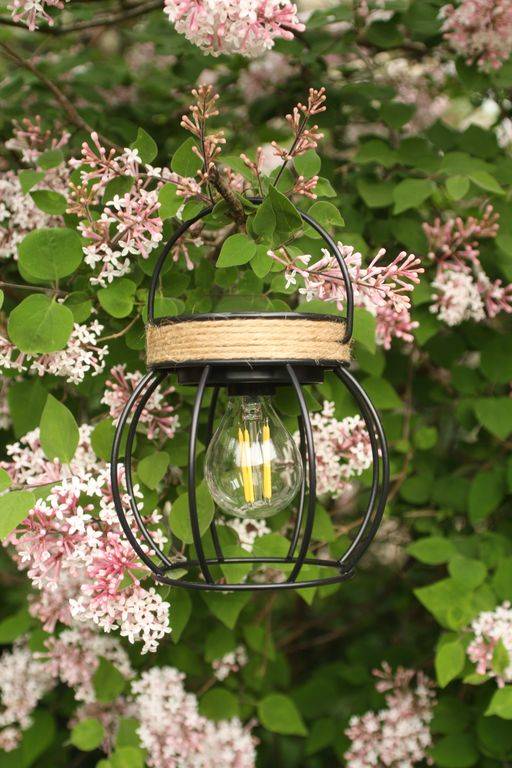Watt & Home - Lanterne Solaire - WATT & HOME - Image 4
