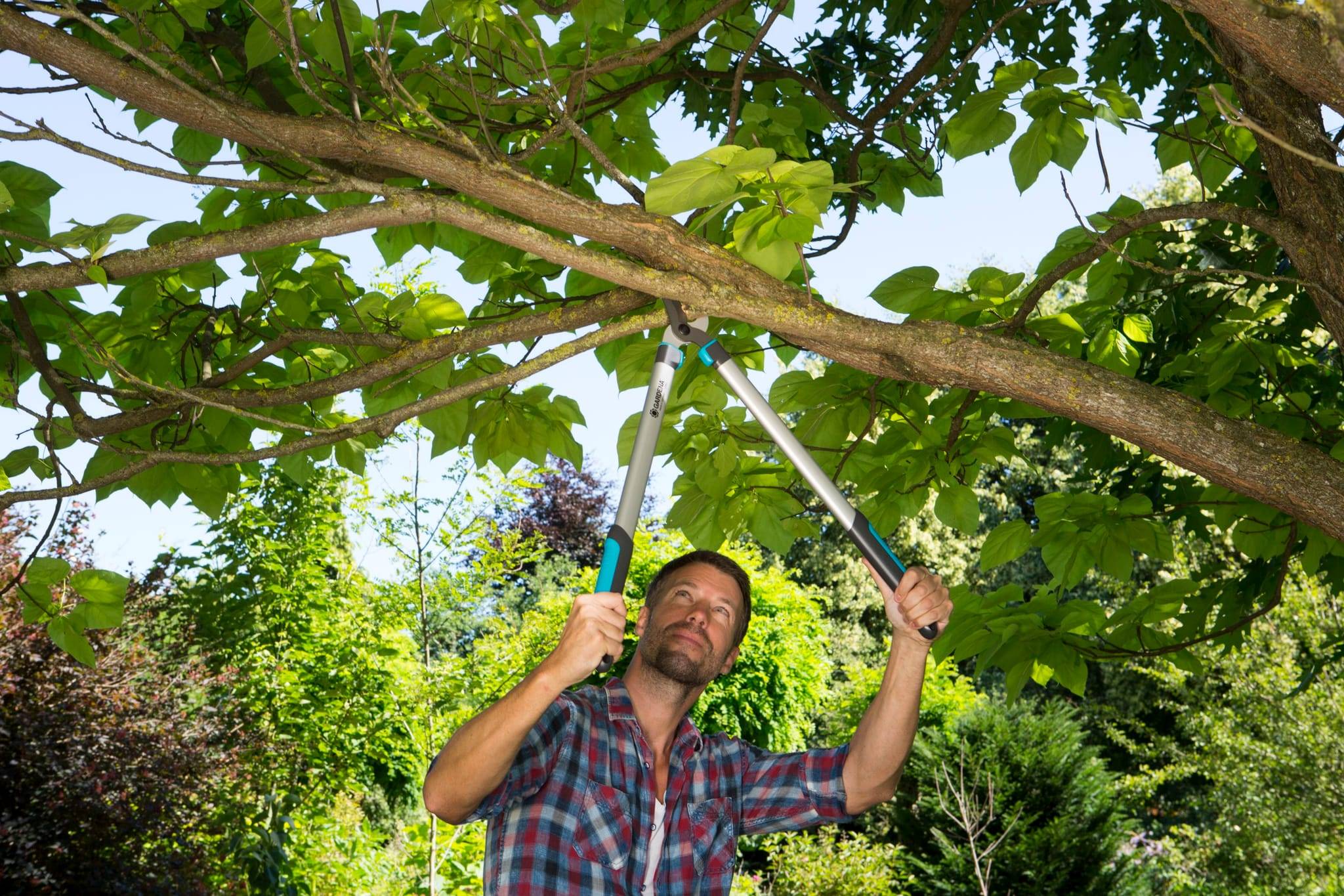 Gardena - Coupe-branches GARDENA EasyCut 680B - Imagen 2