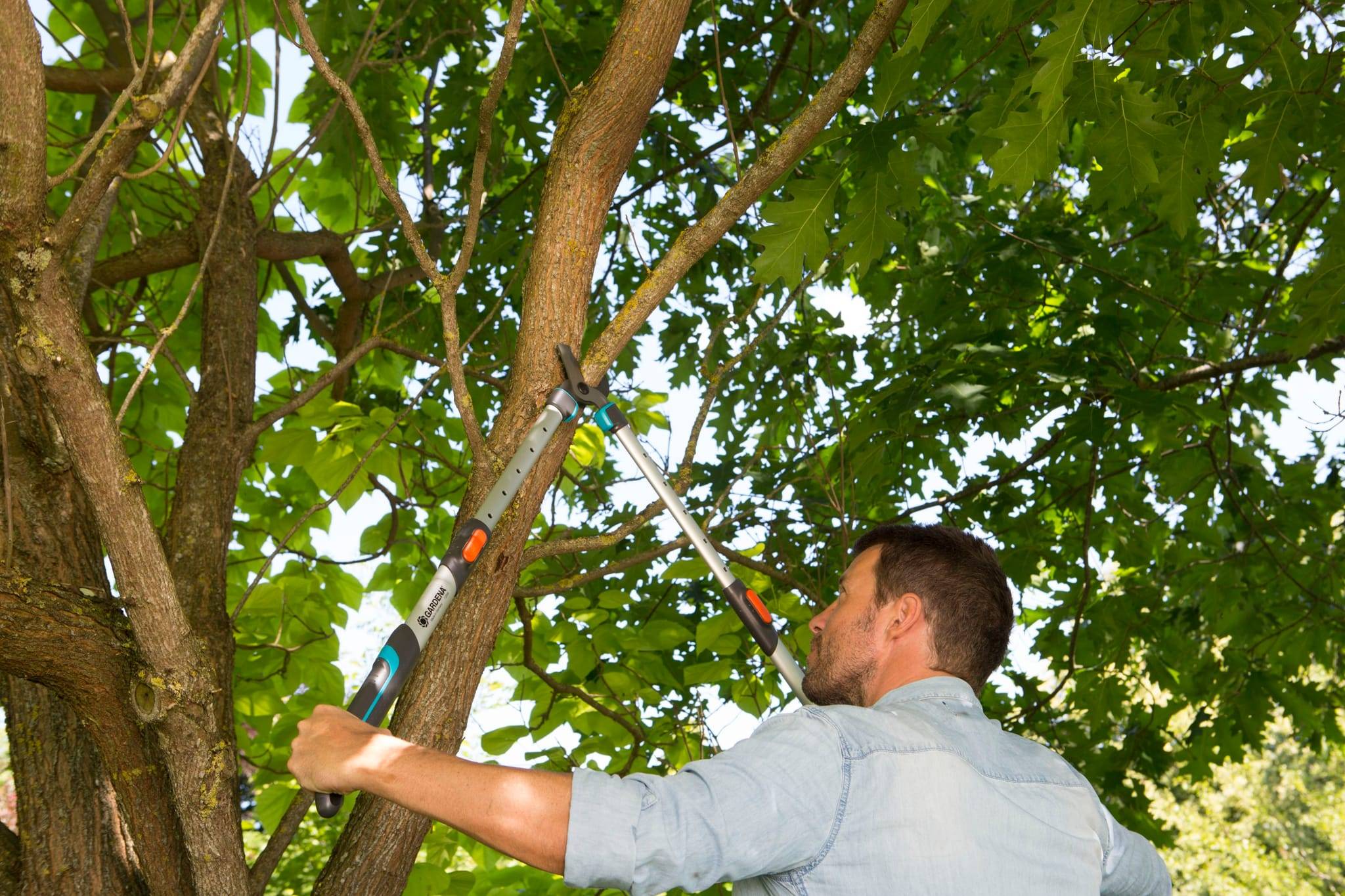 Gardena - Coupe-branches télescopique "TeleCut 650-900 B" - Gardena® - Imagen 5