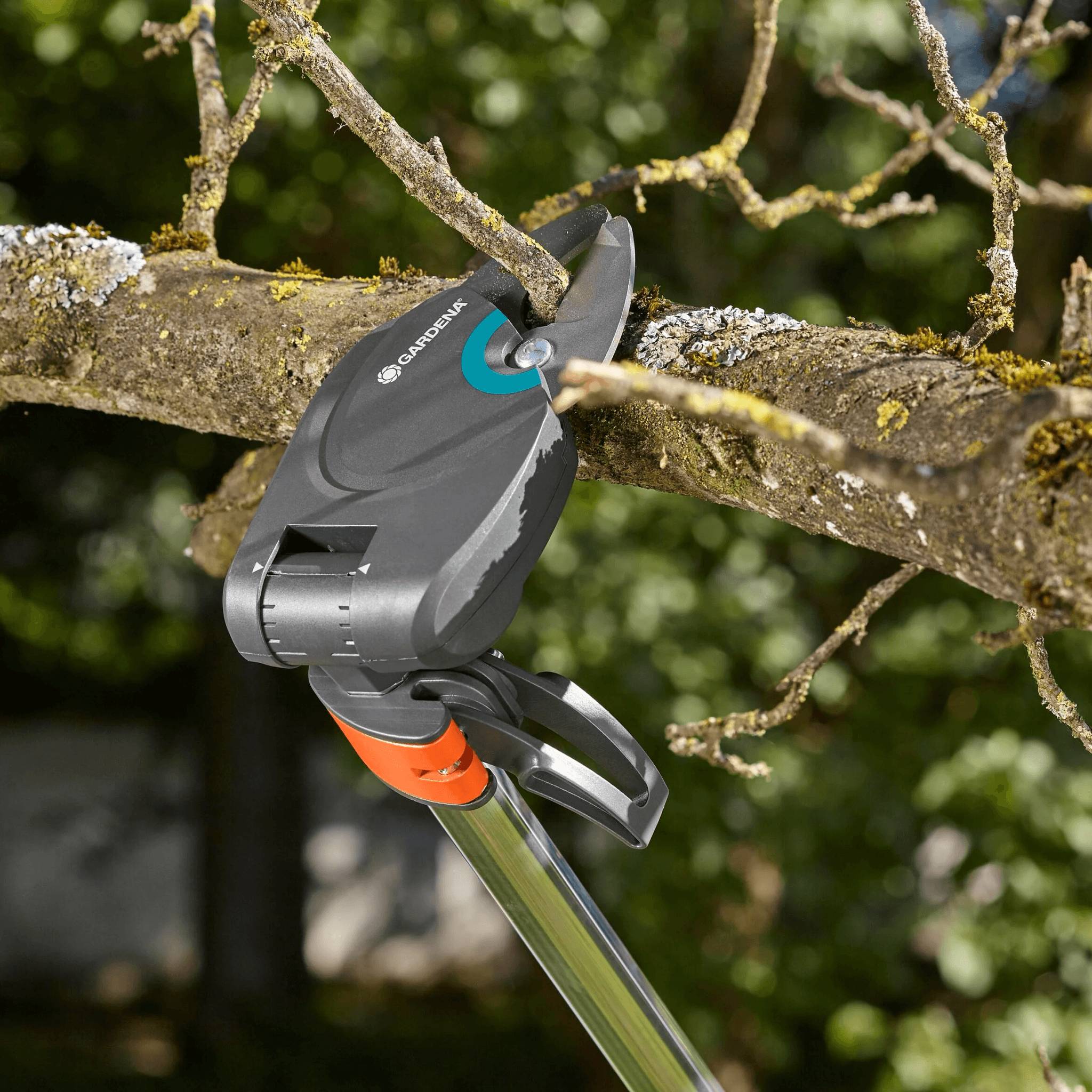 Gardena - Coupe-branches longue portée StarCut 160 plus - Gardena - Imagen 10