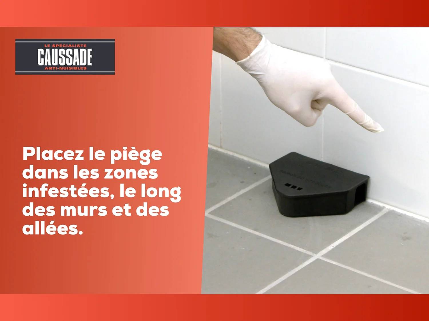 Caussade - Pâte anti-rats et souris prêt à l'emploi 150 g - CAUSSADE - Image 4