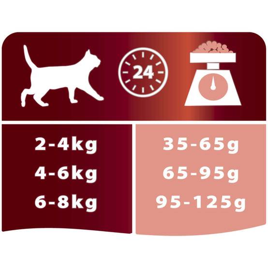 Purina Pro Plan - Croquettes chat Adulte Original Saumon 3kg - PRO PLAN - Image 9