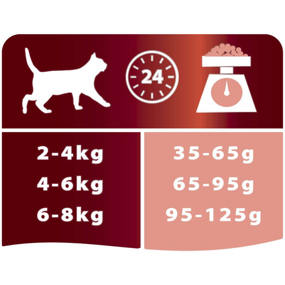 Purina Pro Plan - Croquettes chat Adulte Original Saumon 3kg - PRO PLAN - Image 9