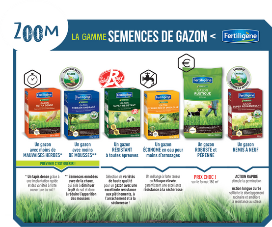 Fertiligène - Gazon Super Résistant - FERTILIGENE - Image 3