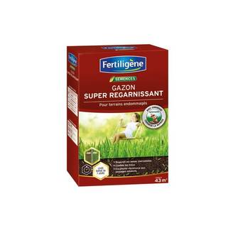 Fertiligène - Gazon Super Regarnissant - FERTILIGENE