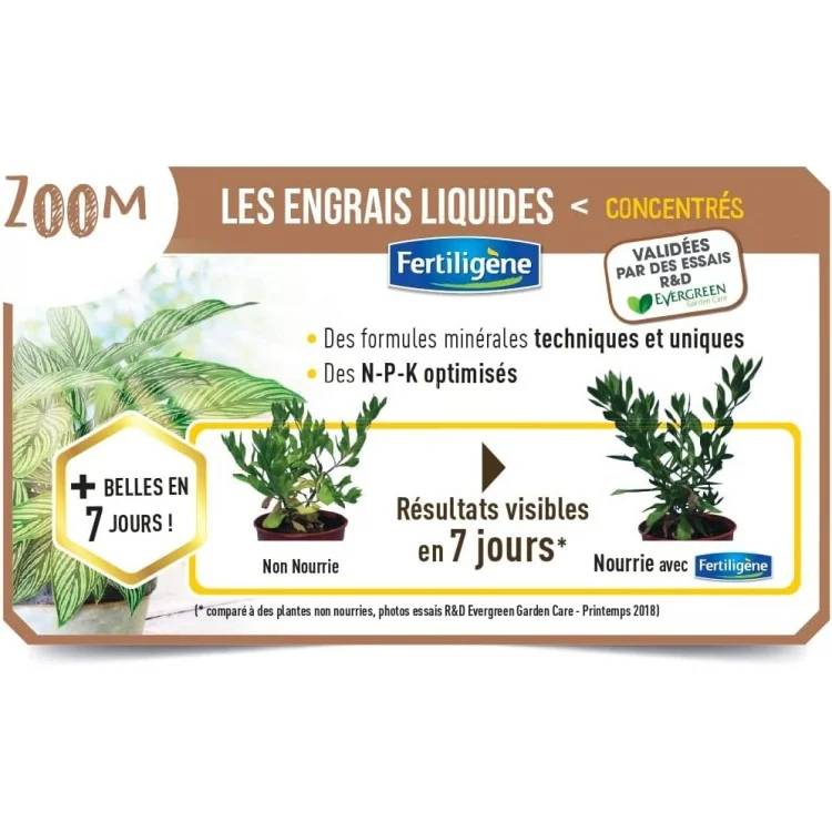 Fertiligène - Engrais Liquide Orchidées 480ml - FERTILIGENE - Imagen 2