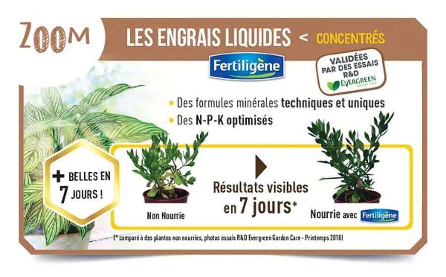 Fertiligène - Engrais cactées 250ml - Imagen 3
