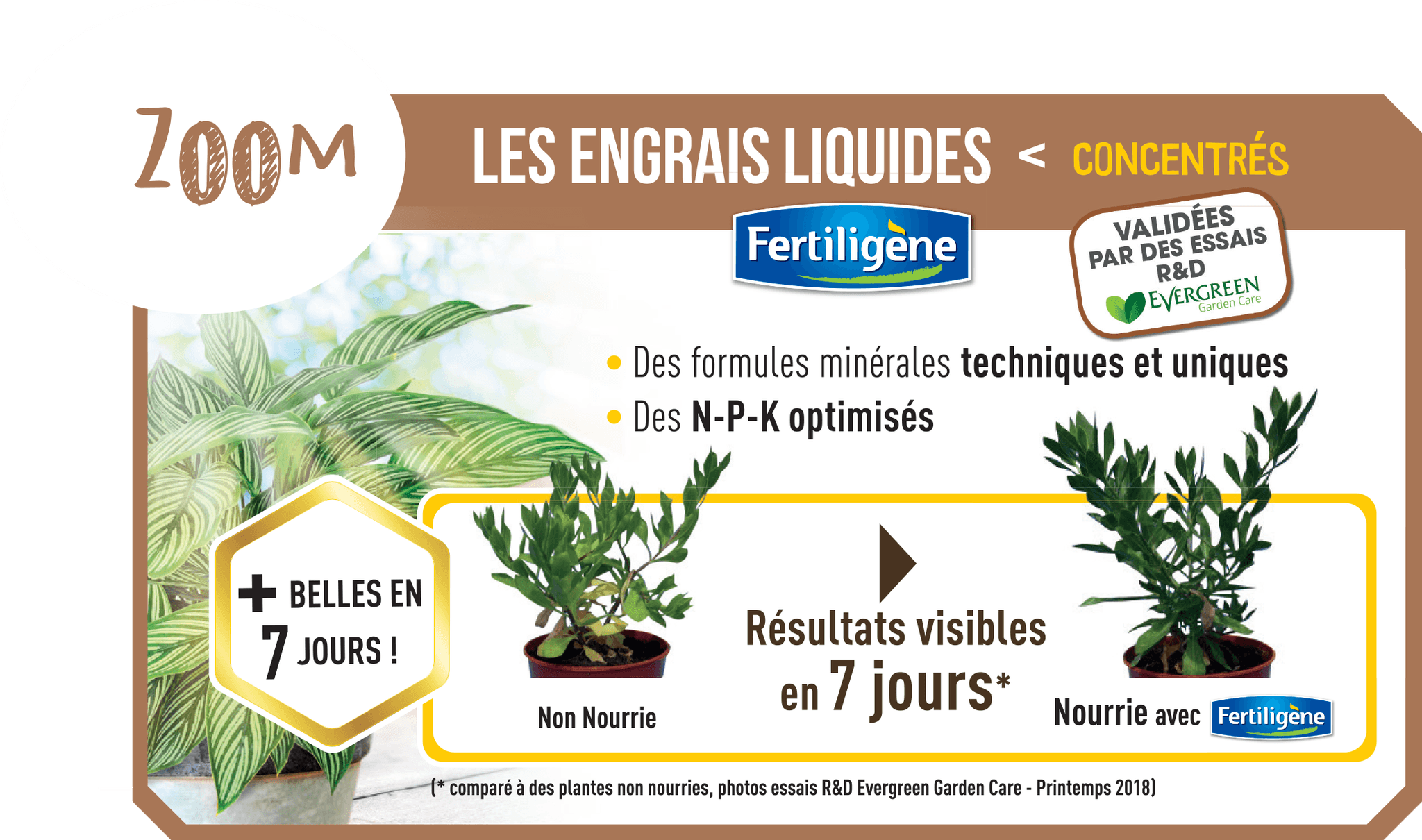 Fertiligène - Engrais cactées 250ml - Imagen 2