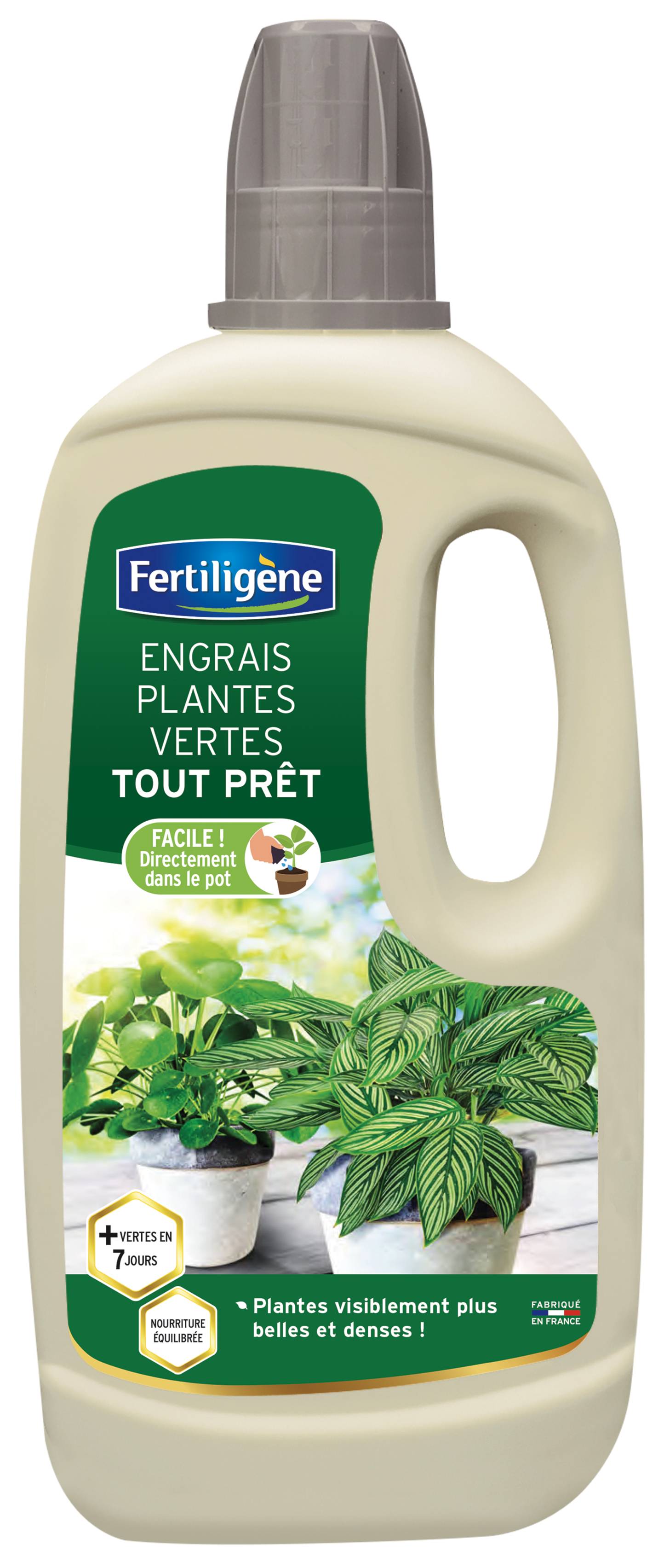 Fertiligène - Fertilizante líquido plantas verdes - FERTILIGENE