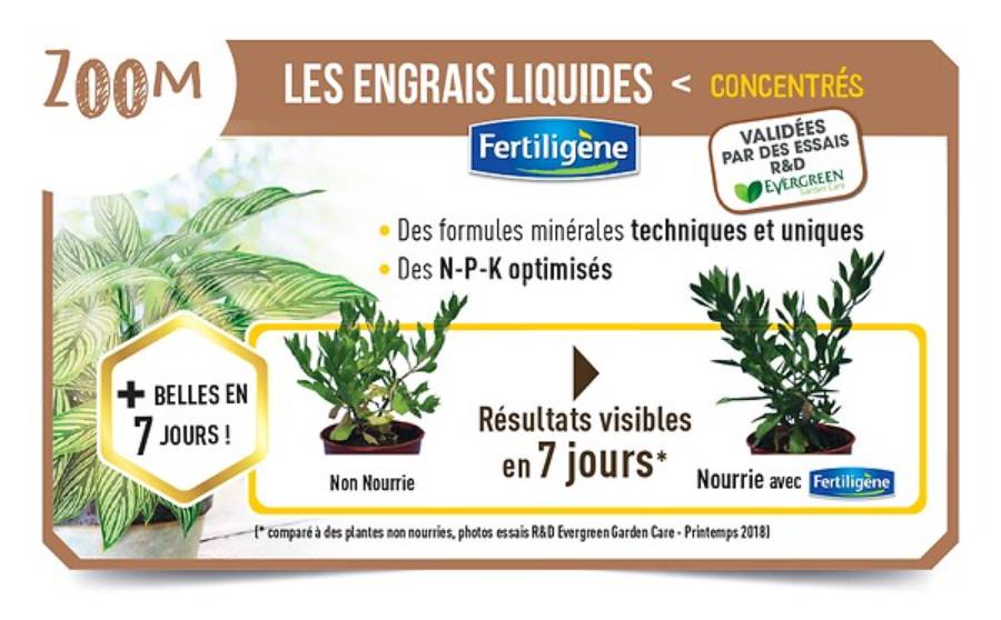 Fertiligène - Engrais liquide hortensias rhododendrons azalées camélias 400 ml - FERTILIGENE - Image 2