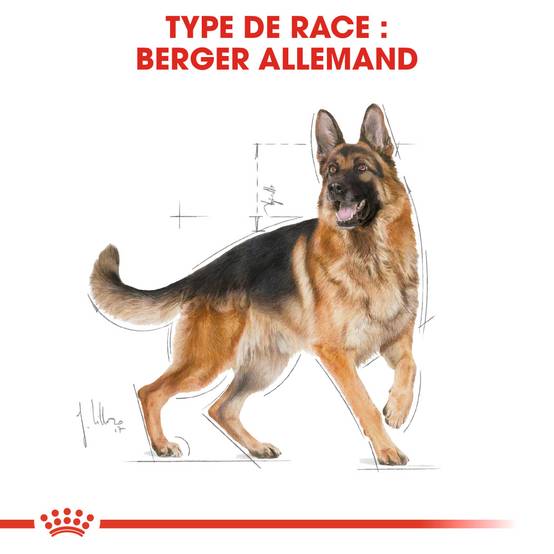Royal Canin - Croquettes chien Berger allemand - ROYAL CANIN - Image 6