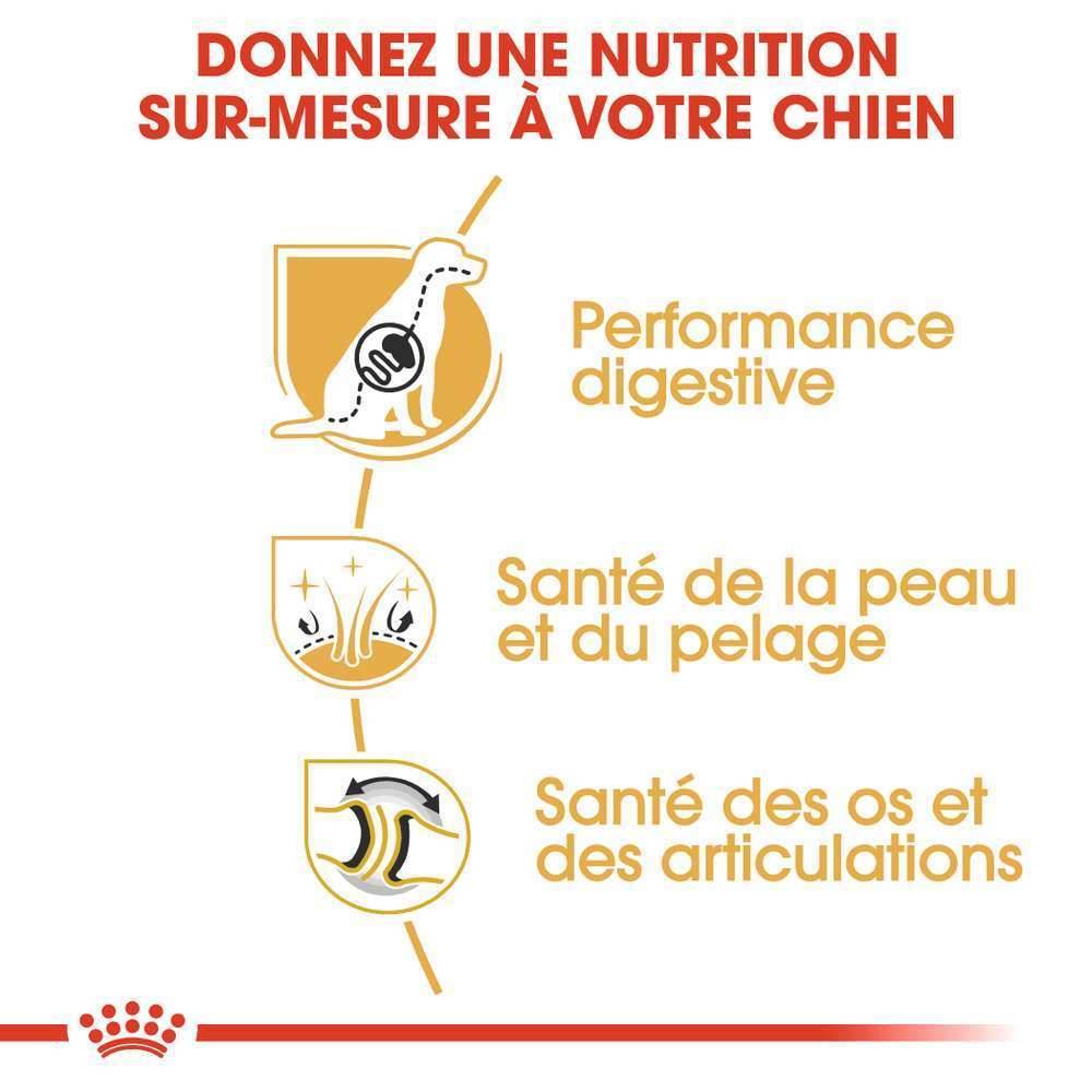Royal Canin - Croquettes chien Berger allemand - ROYAL CANIN - Image 13