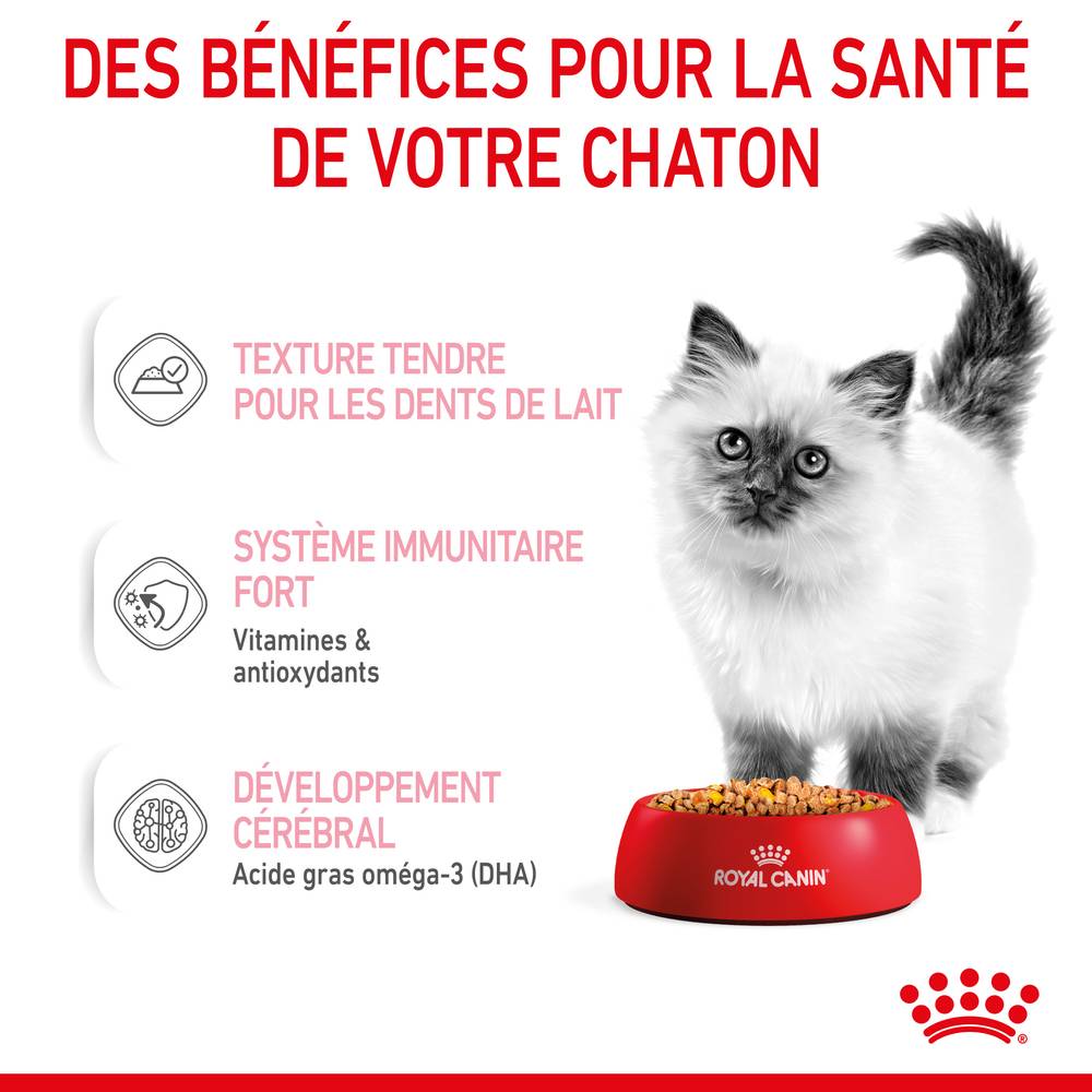 Royal Canin - Aliment en Gelée Chaton - ROYAL CANIN - Image 2