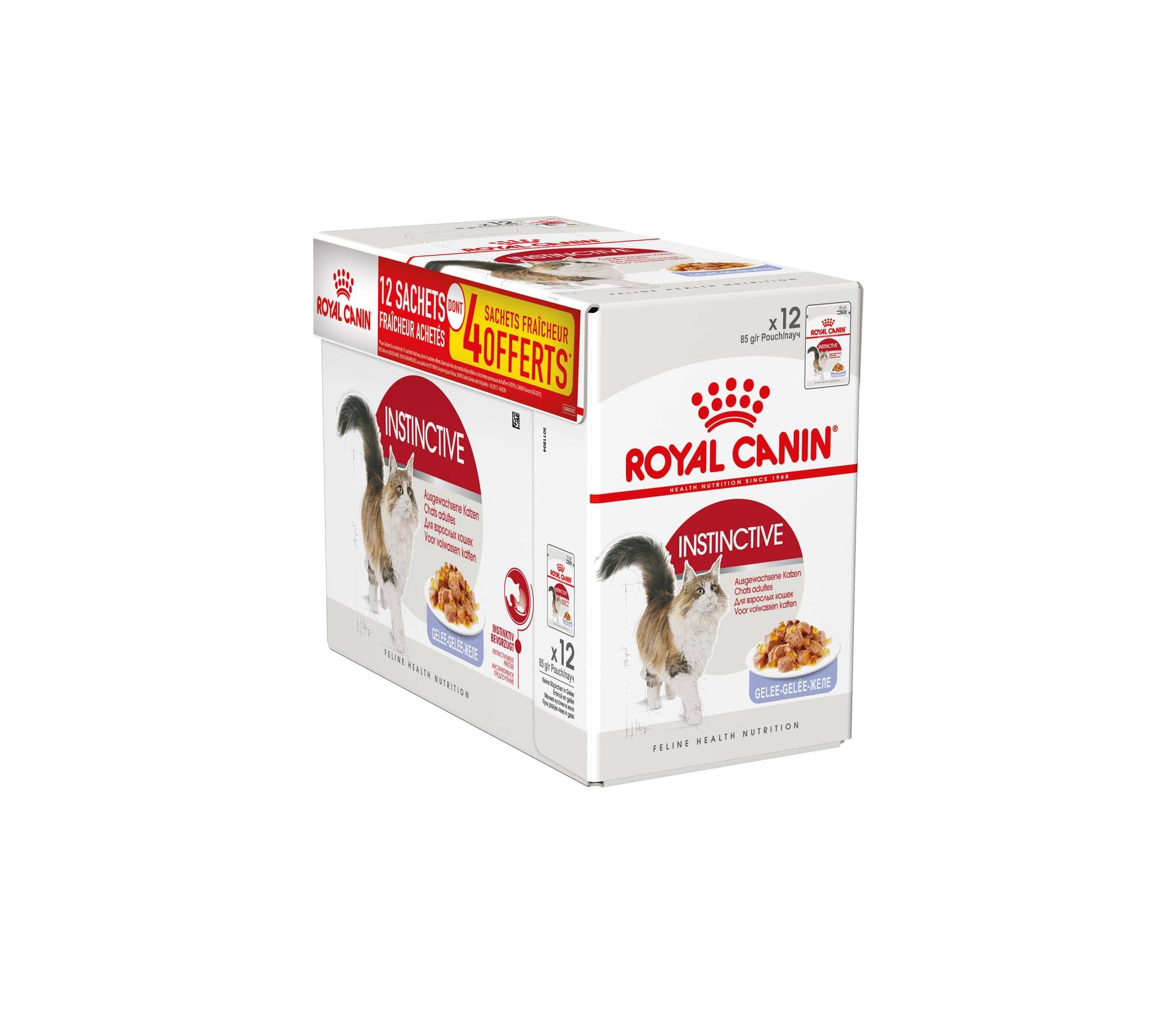 Royal Canin - Aliment Nutritionnel Gelée Chat Adulte – ROYAL CANIN - Image 1