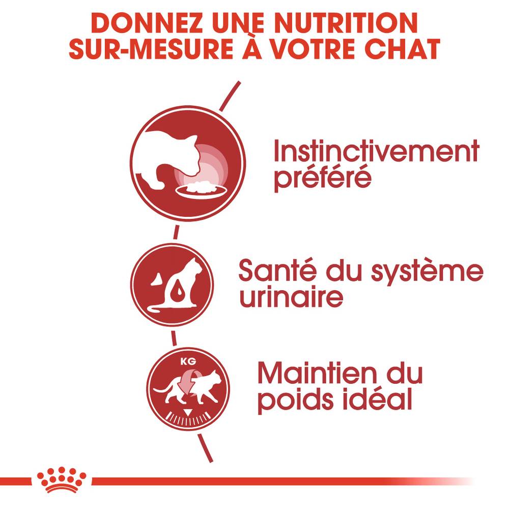 Royal Canin - Aliment Nutritionnel Gelée Chat Adulte – ROYAL CANIN - Image 4