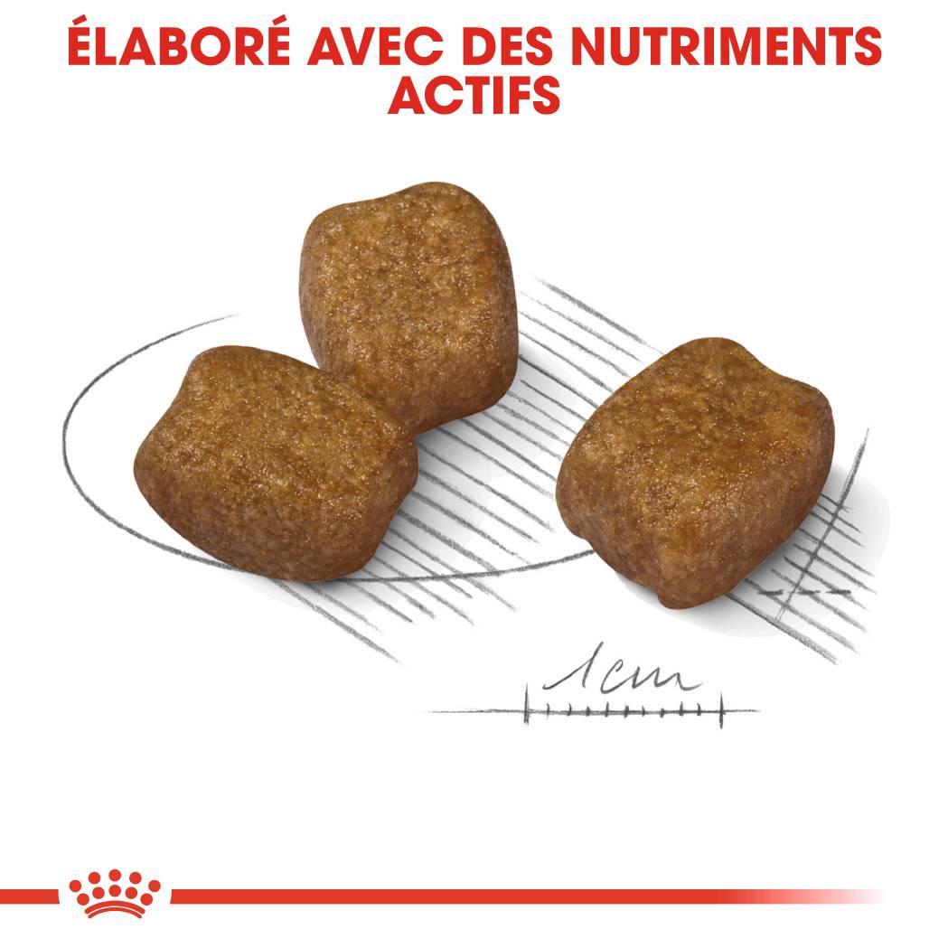 Royal Canin - Croquettes Chien ROYAL CANIN - Image 4