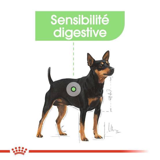 Royal Canin - Croquettes chien sensibilité digestive ROYAL CANIN - Image 11