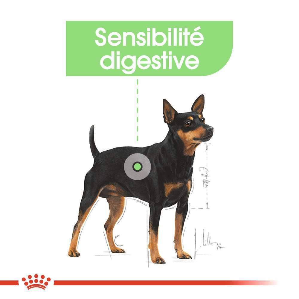 Royal Canin - Croquettes chien sensibilité digestive ROYAL CANIN - Imagen 11