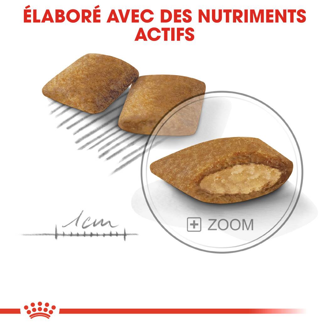 Royal Canin - Croquettes chien MINI EXIGENT - ROYAL CANIN - Image 2