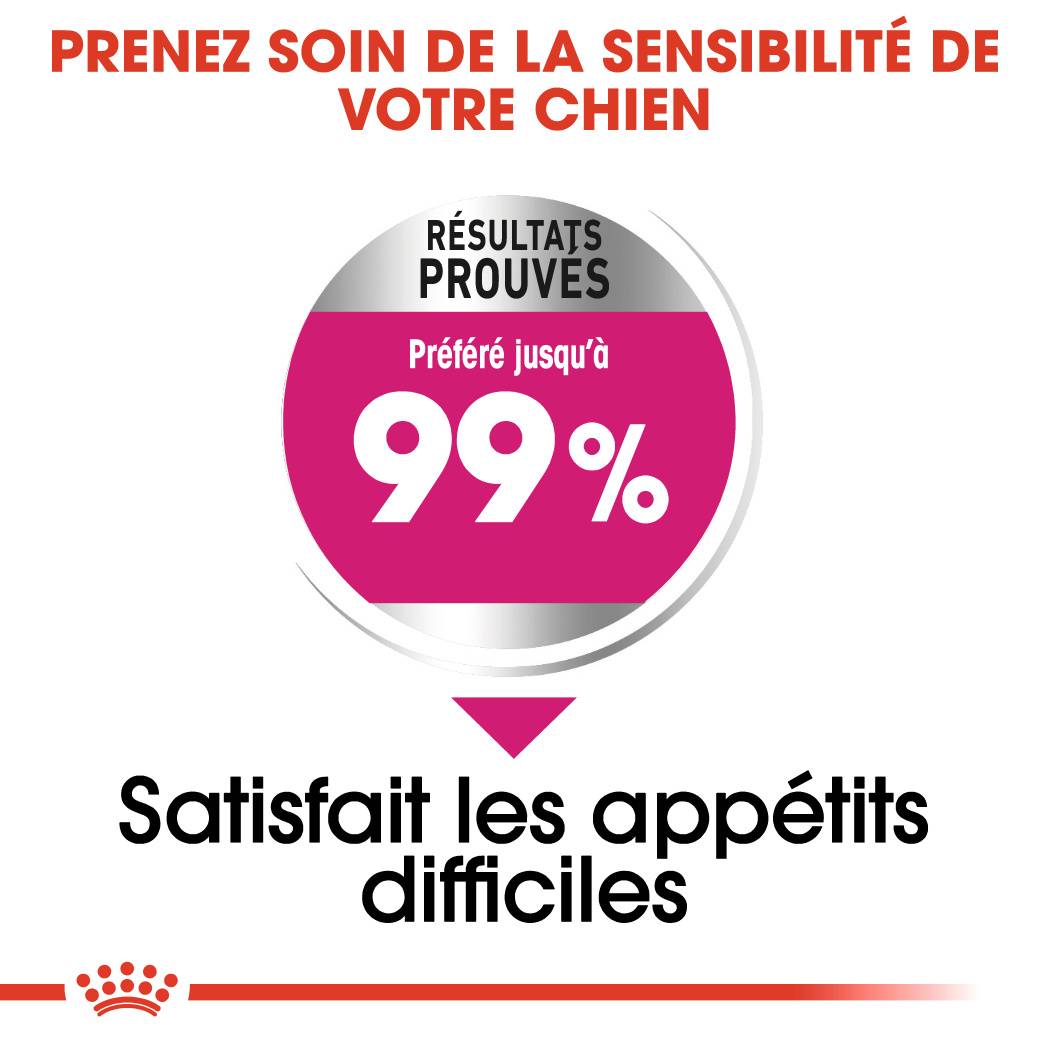 Royal Canin - Croquettes chien MINI EXIGENT - ROYAL CANIN - Image 3