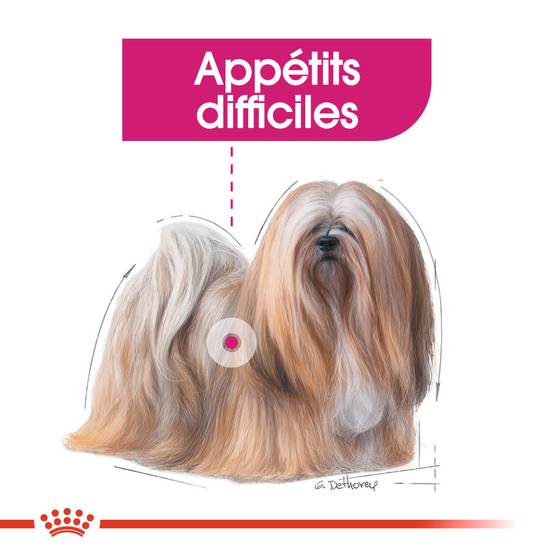 Royal Canin - Croquettes chien MINI EXIGENT - ROYAL CANIN - Image 6