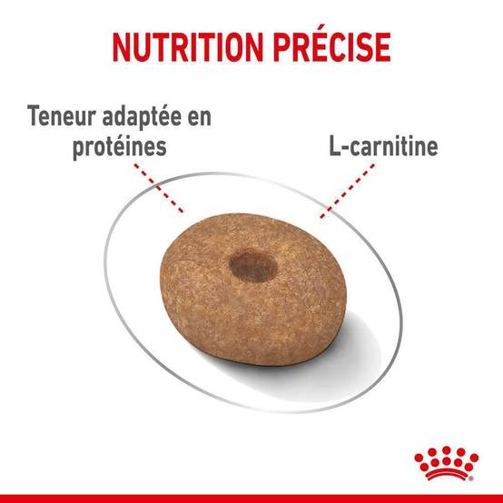 Royal Canin - Croquettes Chien Mini Light Weight Care - ROYAL CANIN - Image 3