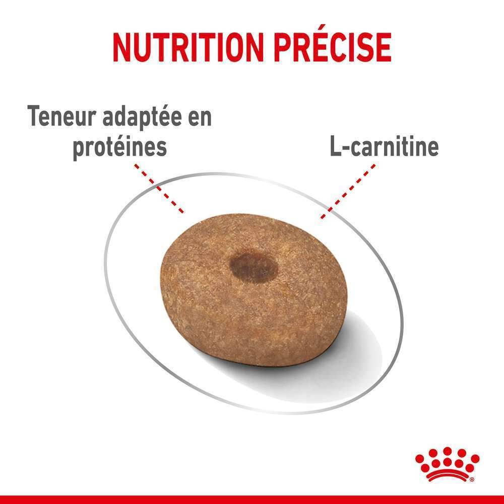 Royal Canin - Croquettes Chien Mini Light Weight Care - ROYAL CANIN - Image 3