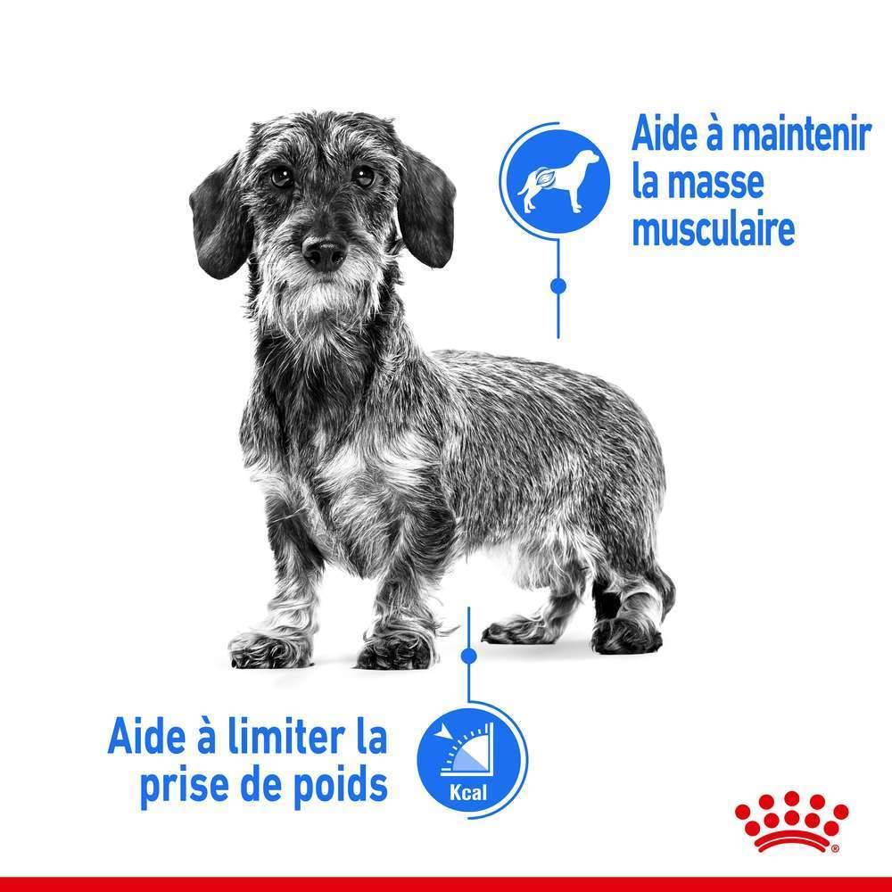 Royal Canin - Croquettes Chien Mini Light Weight Care - ROYAL CANIN - Image 2